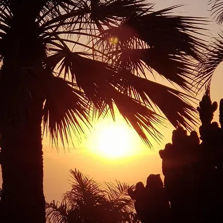 Sol Y Mar Mit Grandiosem Meerblick * 阿德耶